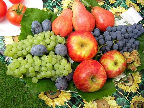 孕婦秋天乾燥缺水要吃什麼？四種當季水果讓您水噹噹