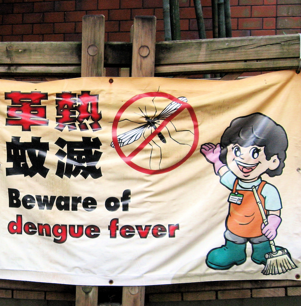 登革熱症狀 幼兒應特別留意各種傳染途徑