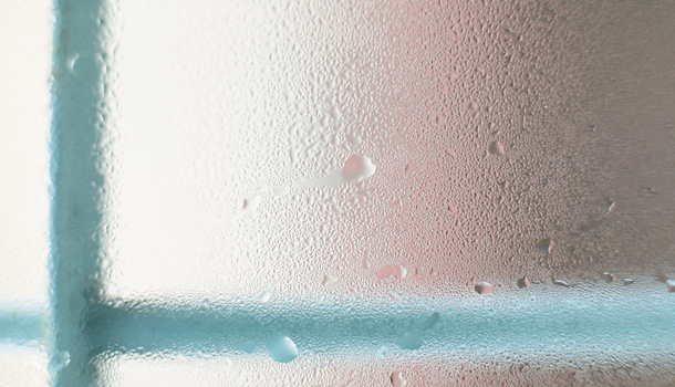 天然除濕方法 – 四種天然的除濕劑