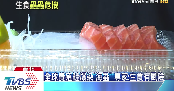 全球養殖鮭魚寄生蟲爆發感染 生食有風險