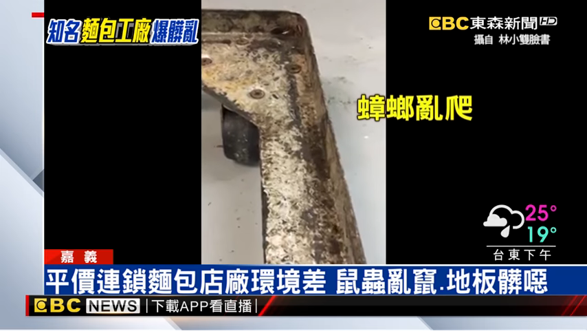 嘉義平價連鎖麵包店 被民眾爆料中央工廠蟑螂亂爬滿地老鼠屎