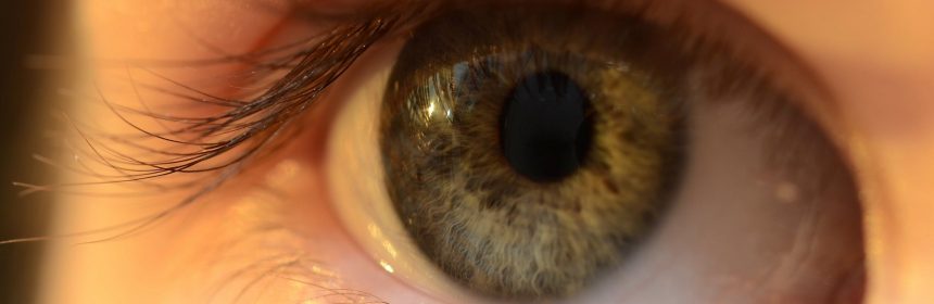 食藥署接獲台灣嬌生通報安視優隱形眼鏡回收部份批號